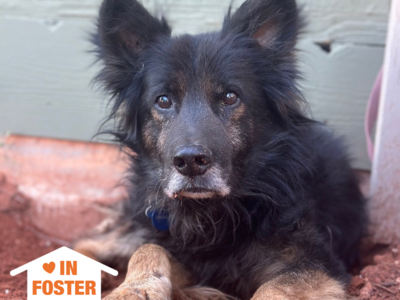 Hello my name is Thunder