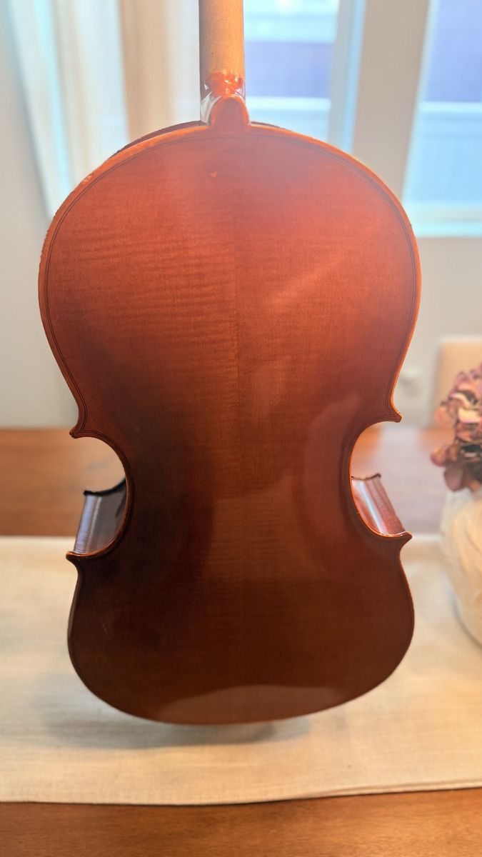 Main image 7