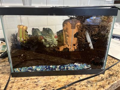Small Glass Terrarium with Decorative Accents - Pre-owned, Good Condition