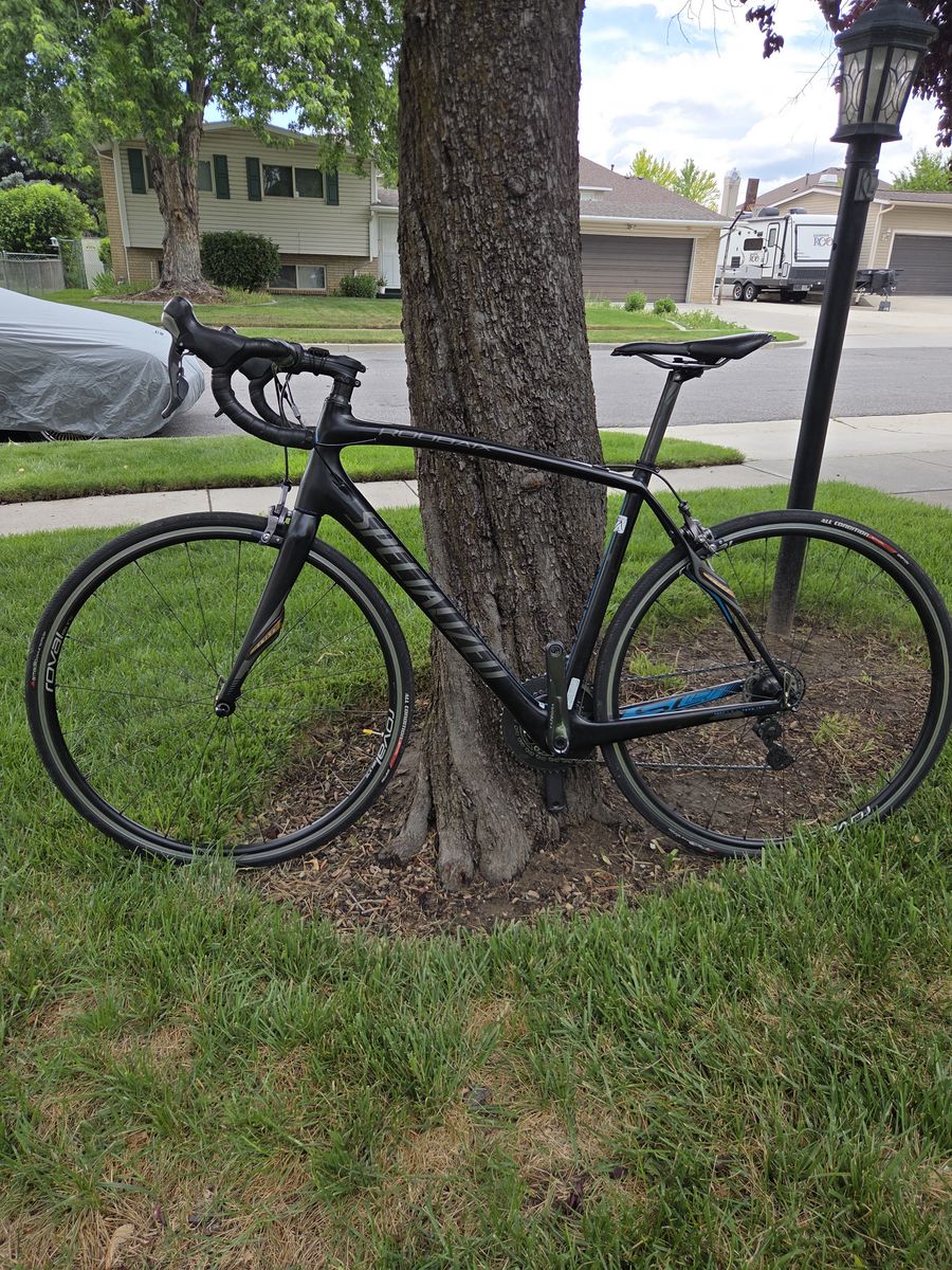 2013 Specialized Roubaix