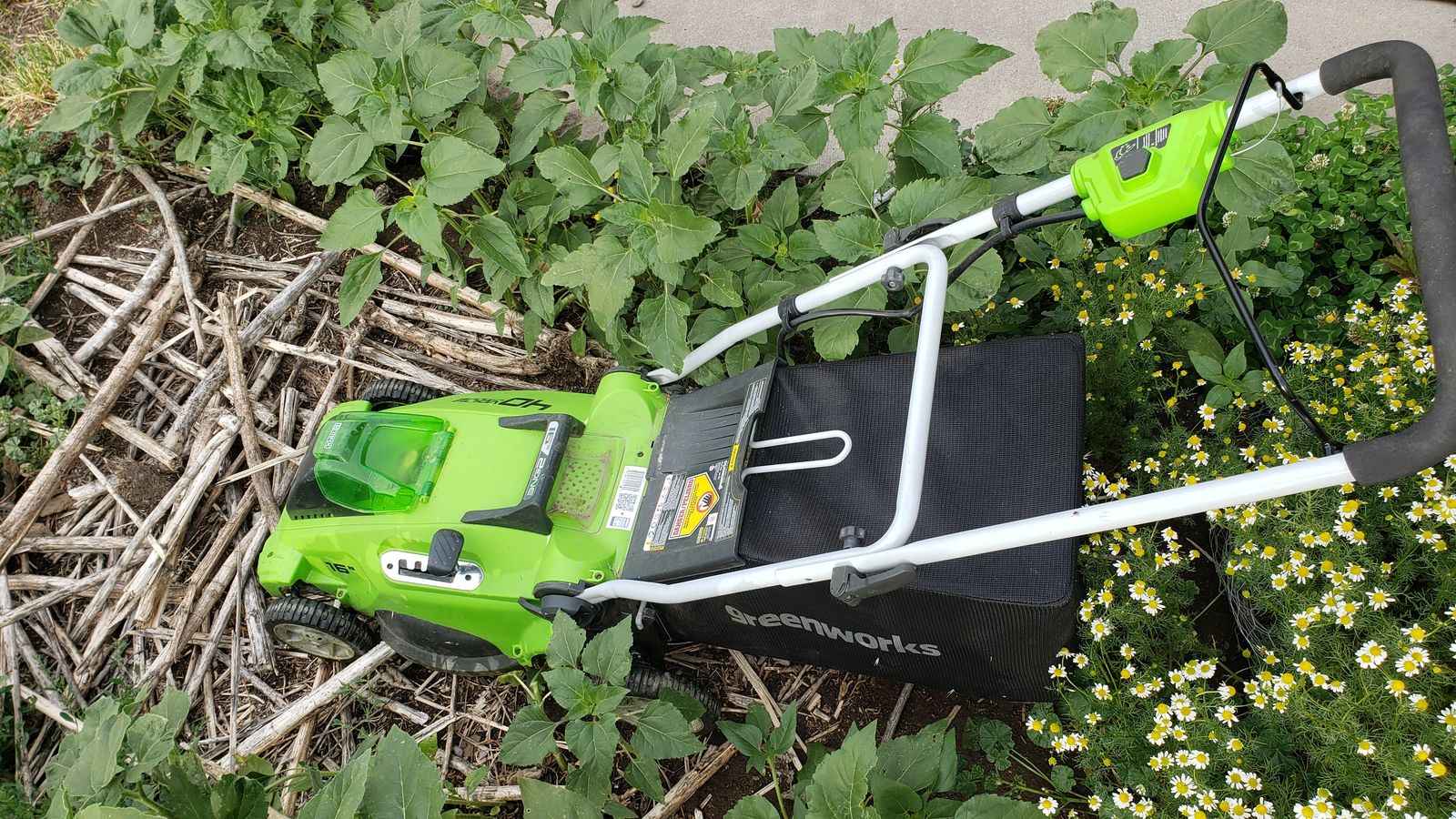 Greenworks Electric Lawnmower