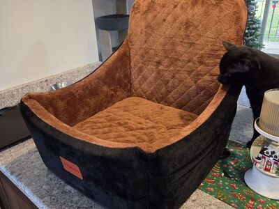 Car seat/bed for animals