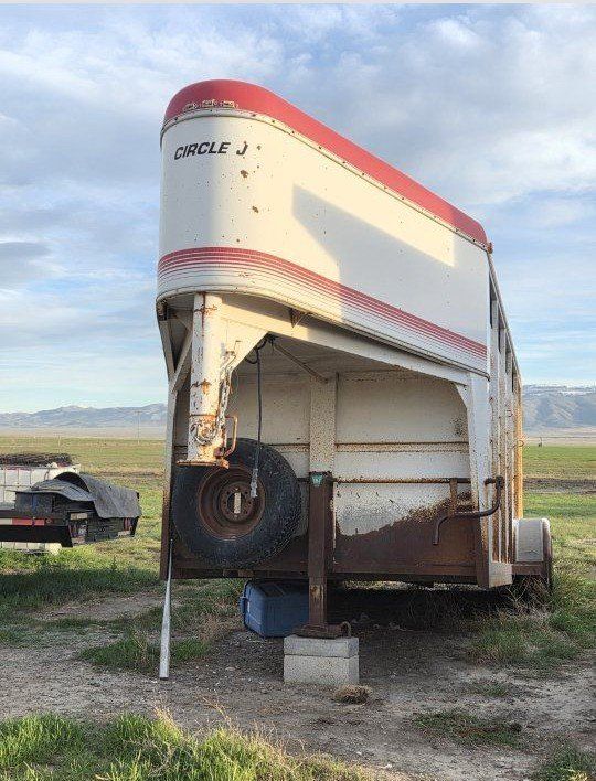 Circle J Horse gooseneck White/Red