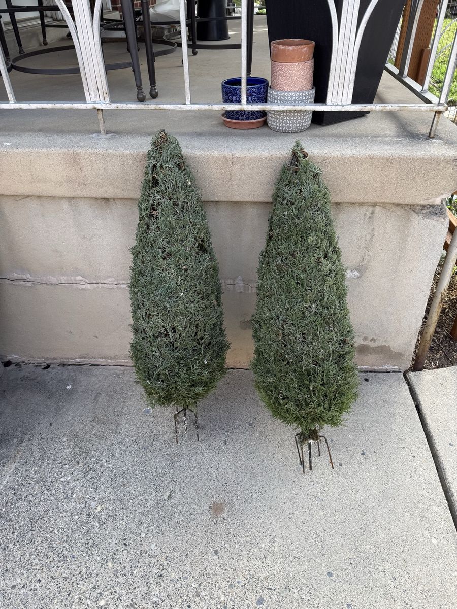 Artificial evergreen trees (pair)