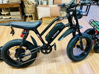NEW E-Titan A05 Electric Bike 1500W 48V 31MPH