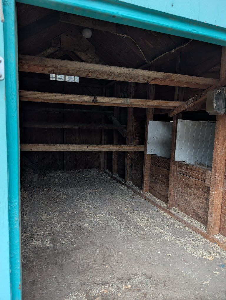 Main image 4