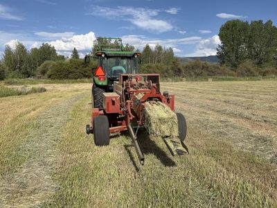 Good Grass Hay