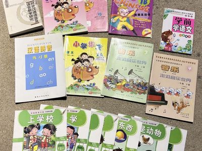 Childrens Chinese Immersion School Study Books