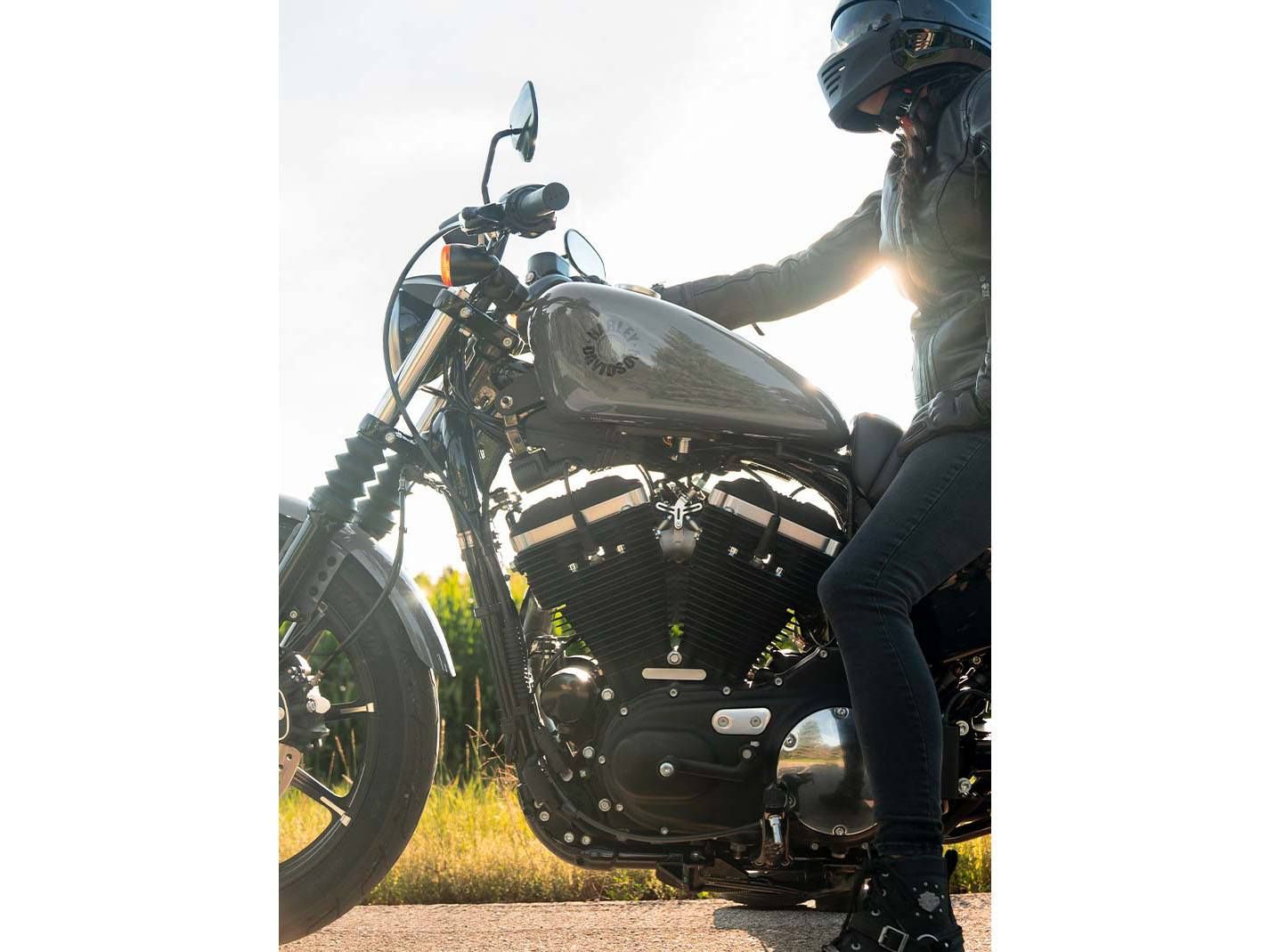 Harley-Davidson 2022 Iron 883