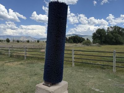 Heavy-Duty Livestock Scratch Brush