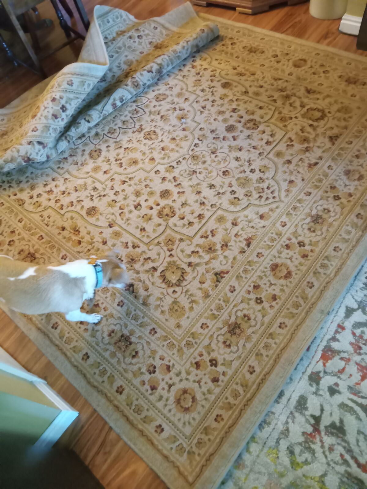 LARGE RUG