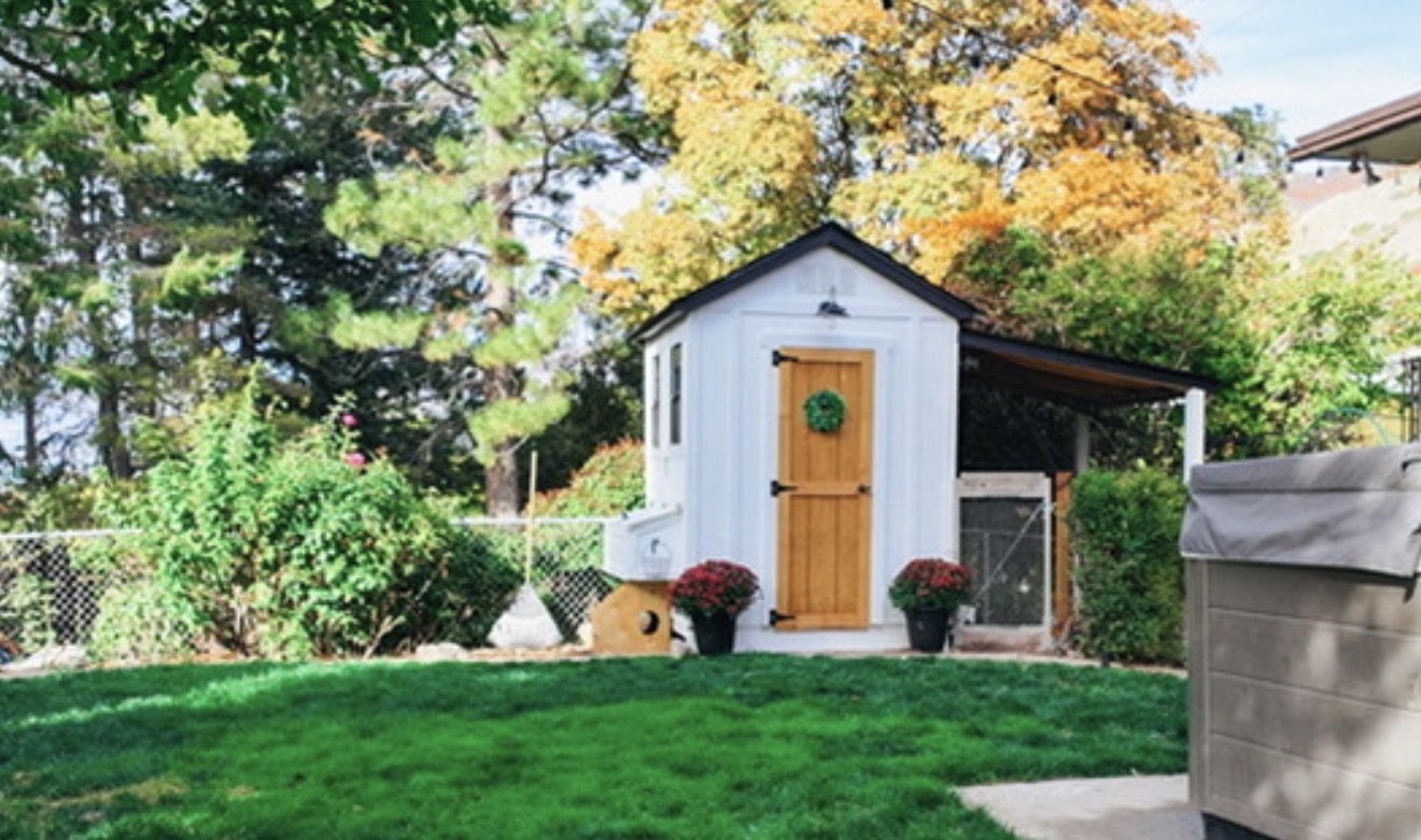 Custom Chicken Coop