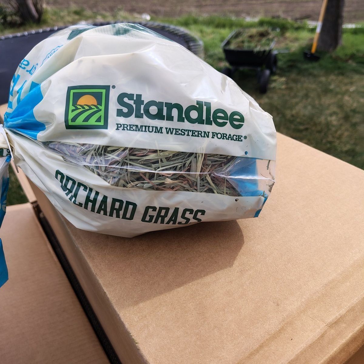 Orchard Grass for small animal