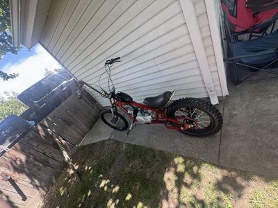 Customized Schwinn occ chopper