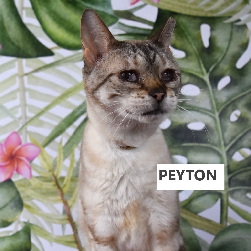 Hello my name is Peyton