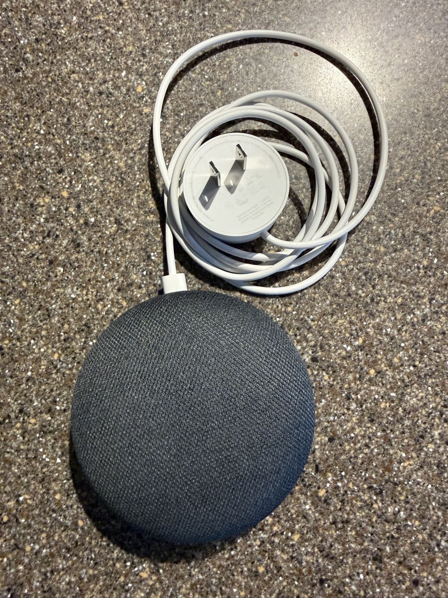 Google Nest Mini Smart Speaker Charcoal - Charcoal Gray with Power Adapter