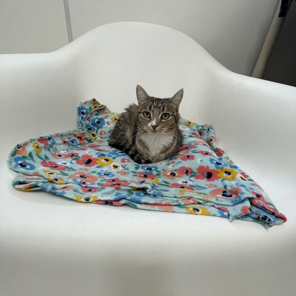 Hello my name is Max