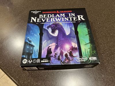 Dungeons & Dragons Bedlam in Neverwinter Game