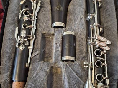 Buffet e11 Intermediate Wood Clarinet with Warranty