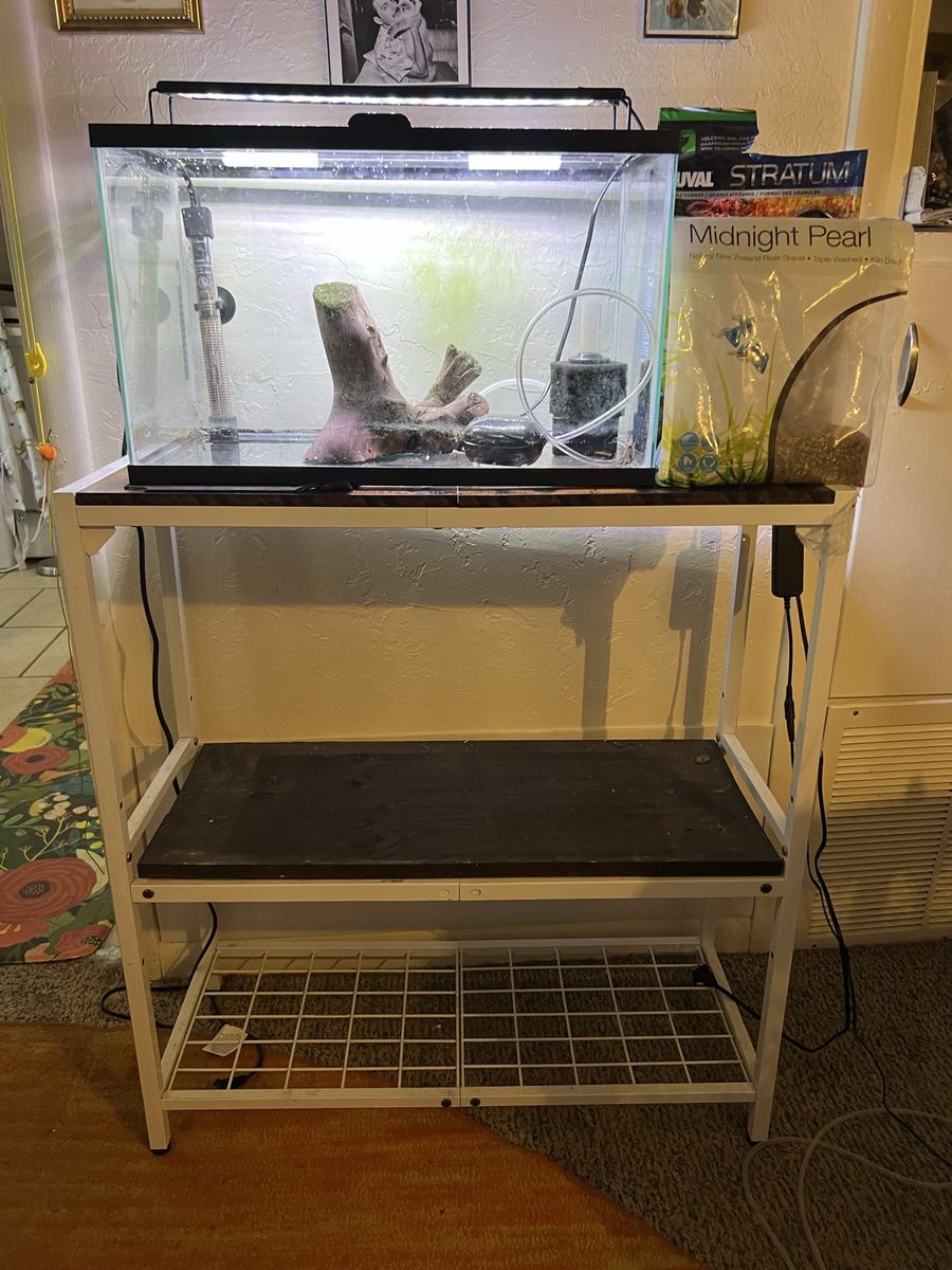 Glass Aquarium Fish Tank with Stand, Light, Heater, Filter, and more - Complete Setup