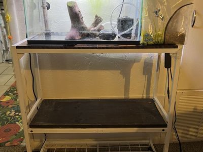 Glass Aquarium Fish Tank with Stand, Light, Heater, Filter, and more - Complete Setup
