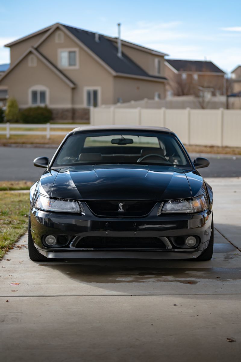 1999 Ford Mustang SVT Cobra