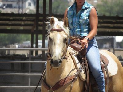 5 year old horse with EPM