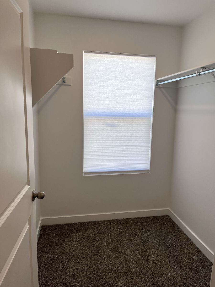 Main image 6