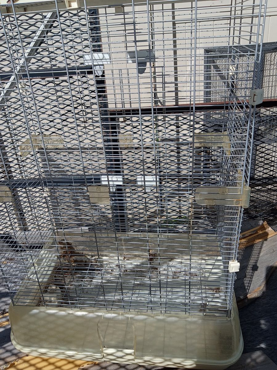 Bird cage