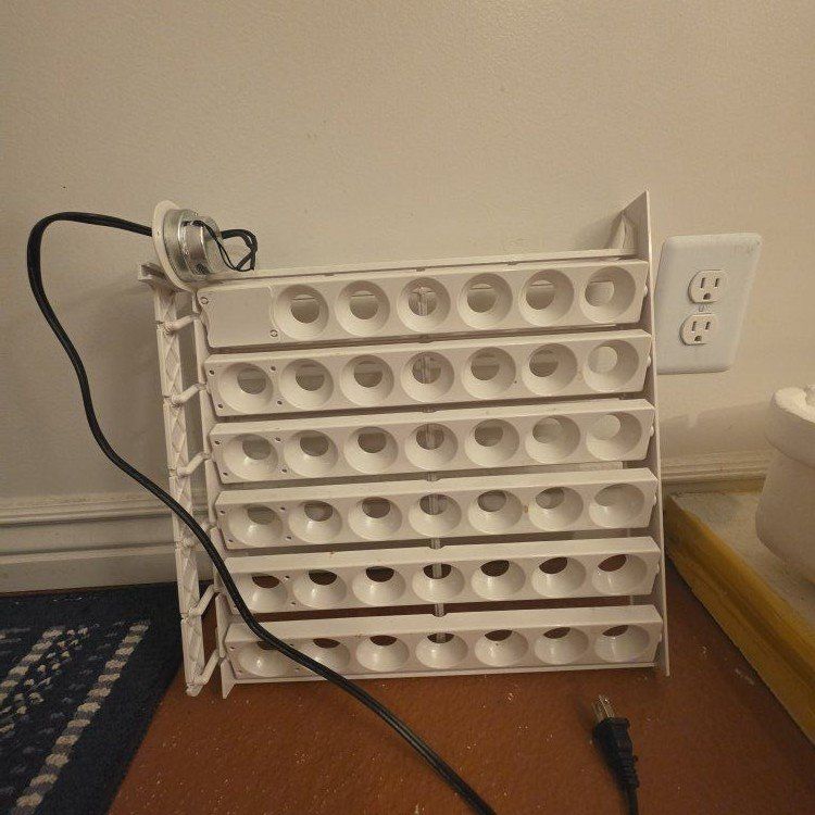 poultry incubator egg Turner holds 41