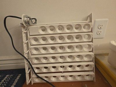poultry incubator egg Turner holds 41