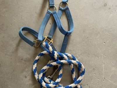 Horse Tack