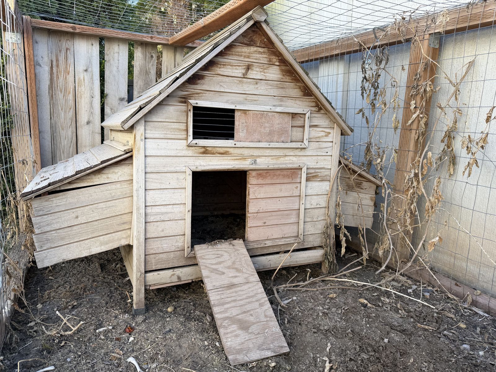 Chicken Coop & Enclosure