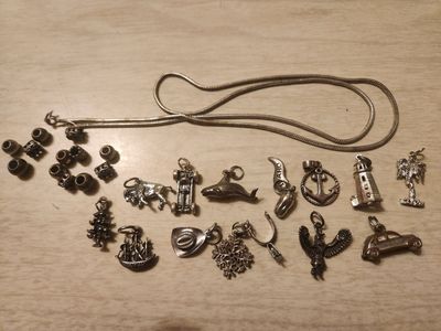 Silver charm necklace