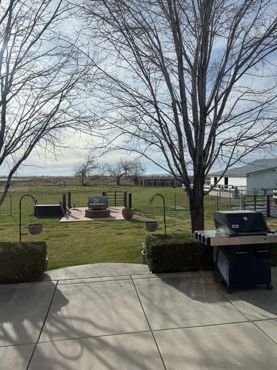 Horse Pasture For Rent