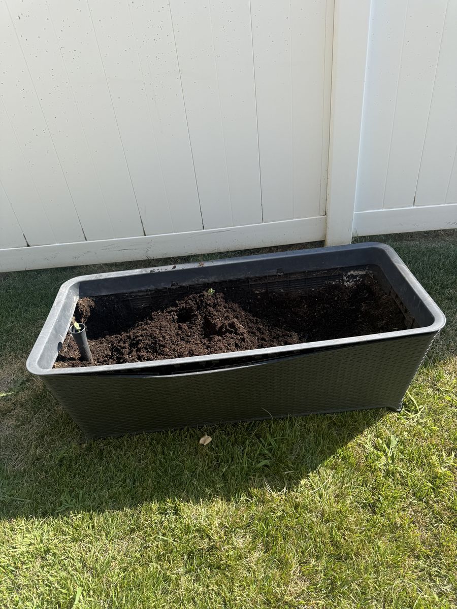 Raised garden bed 