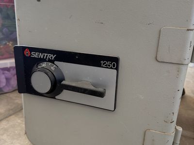 Sentry 1250 Fire-Resistant Safe with Combination Lock - Light Gray