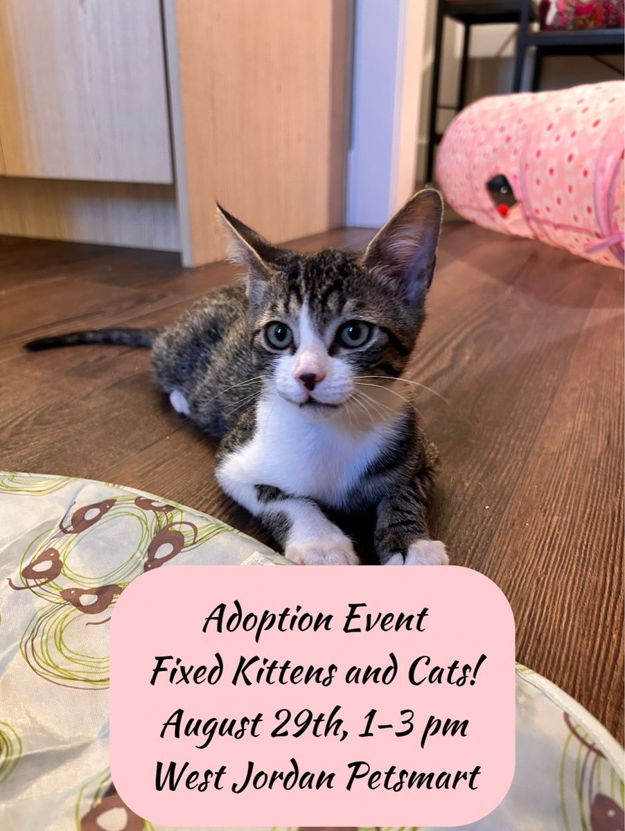 Adoption EVENT!
