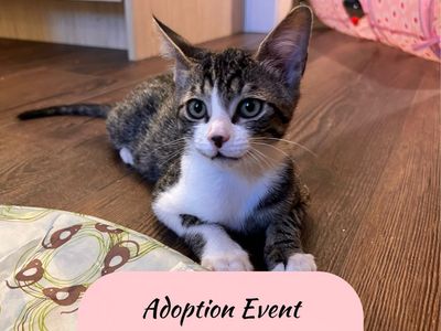Adoption EVENT!