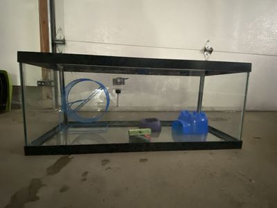 20 Gallon Tank w/Lid and Hamster Accessories