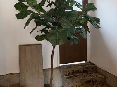 Large Artificial Fiddle Leaf Fig Tree - Restoration Hardware
