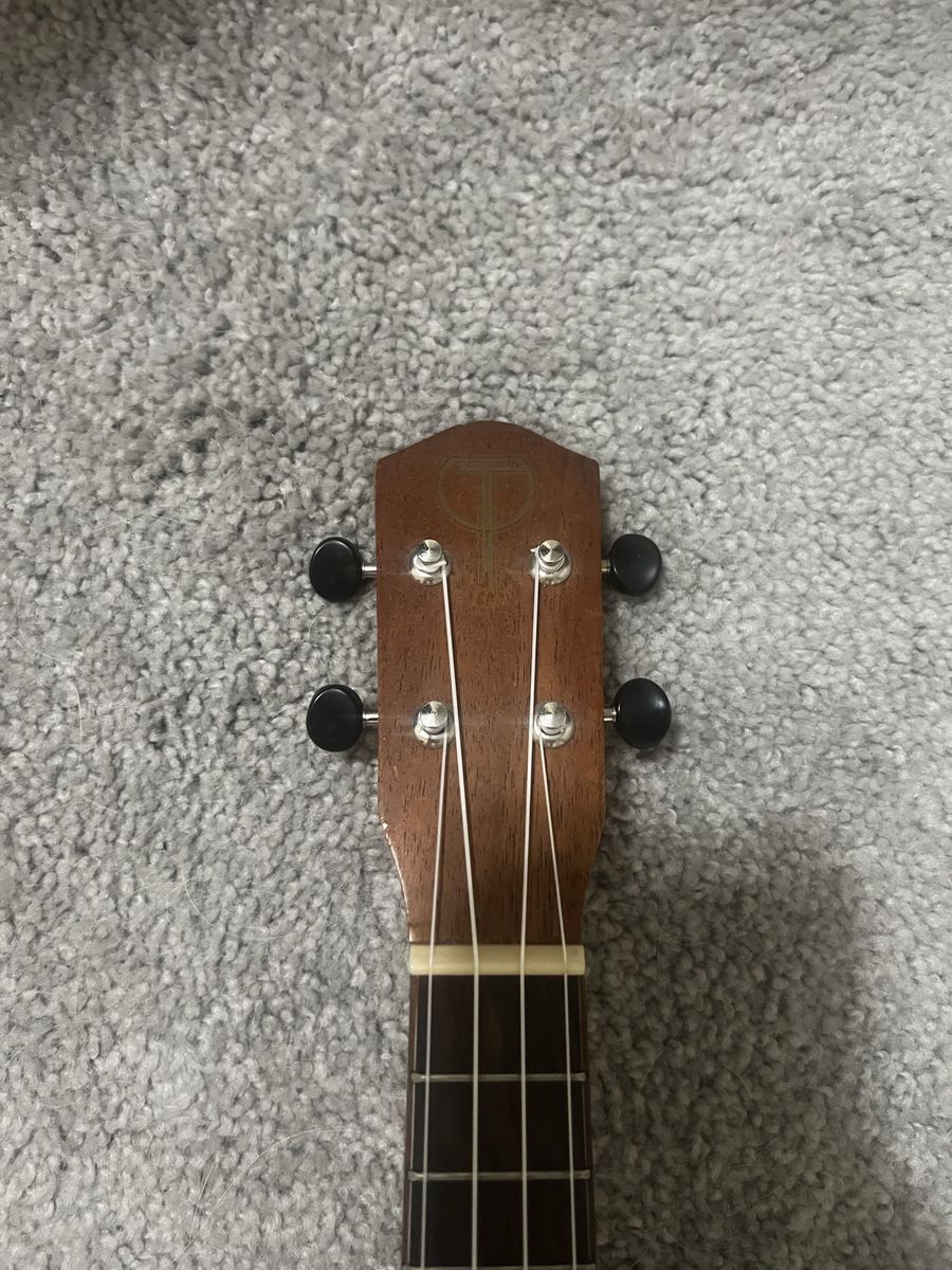 Teton Acoustics Ukelele (Model TS05)