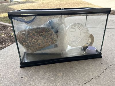 Hampster Cage/ Enclosure