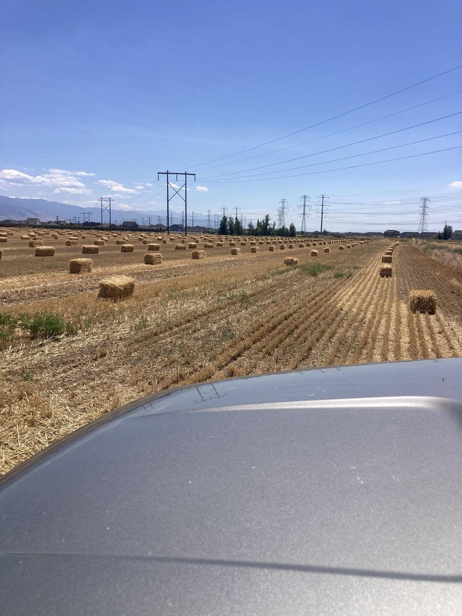 Straw