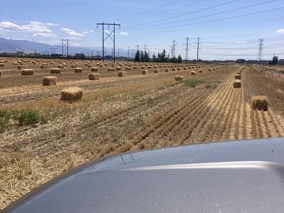 Straw