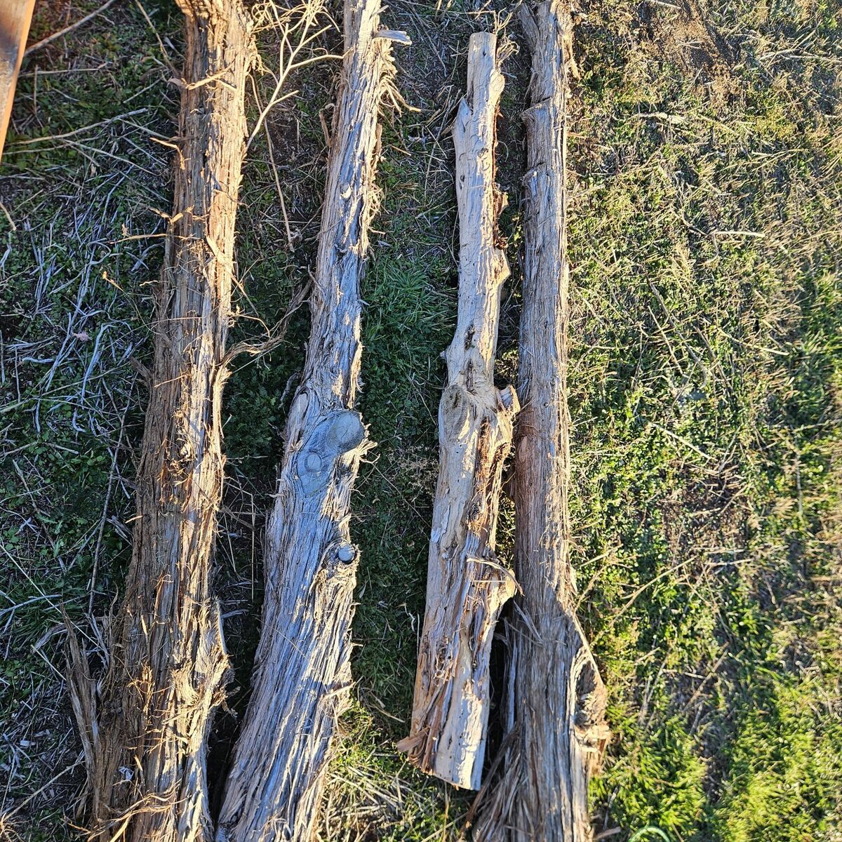 Cedar Posts