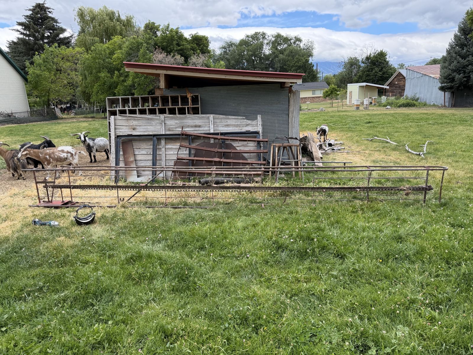 Hay elevator