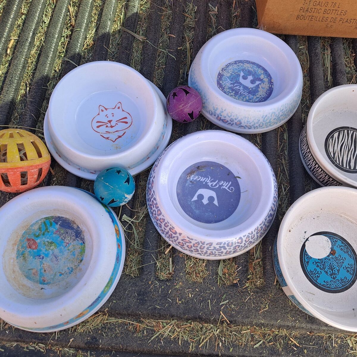 Small Pet bowls & ball toys