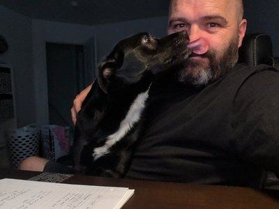 FREE Black Adult Dog - Unspecified Breed, Playful Companion, Great for Families!