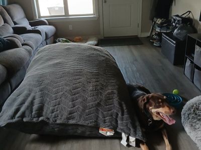 Huge Pillow